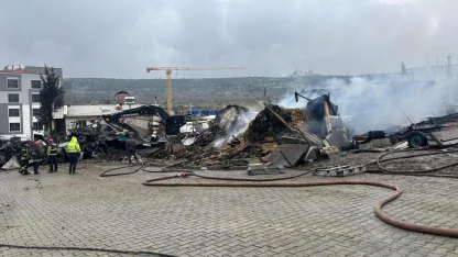 Ahır yangınında çok sayıda hayvan öldü