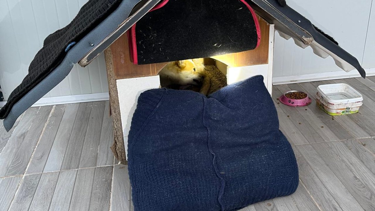 Balıkesir’de sıkıştığı yerde mahsur kalan yavru köpek kurtarıldı