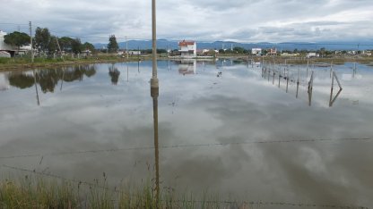 Burhaniye'de yazlıklar ve tarlalar su içinde kaldı