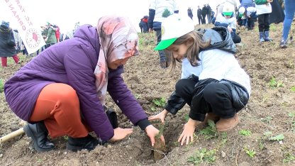 Bursa’da 18 bin fidan toprakla buluştu