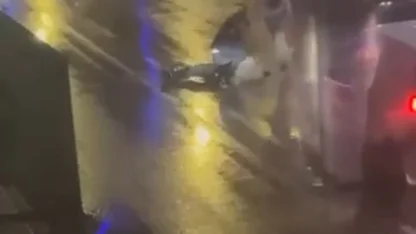 Cadde ortasında tekme ve yumruklarla darbedildi