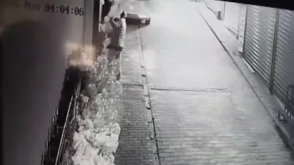 Camı açamayan hırsız, kapıdaki değerli süs ağacını söktü; o anlar kamerada