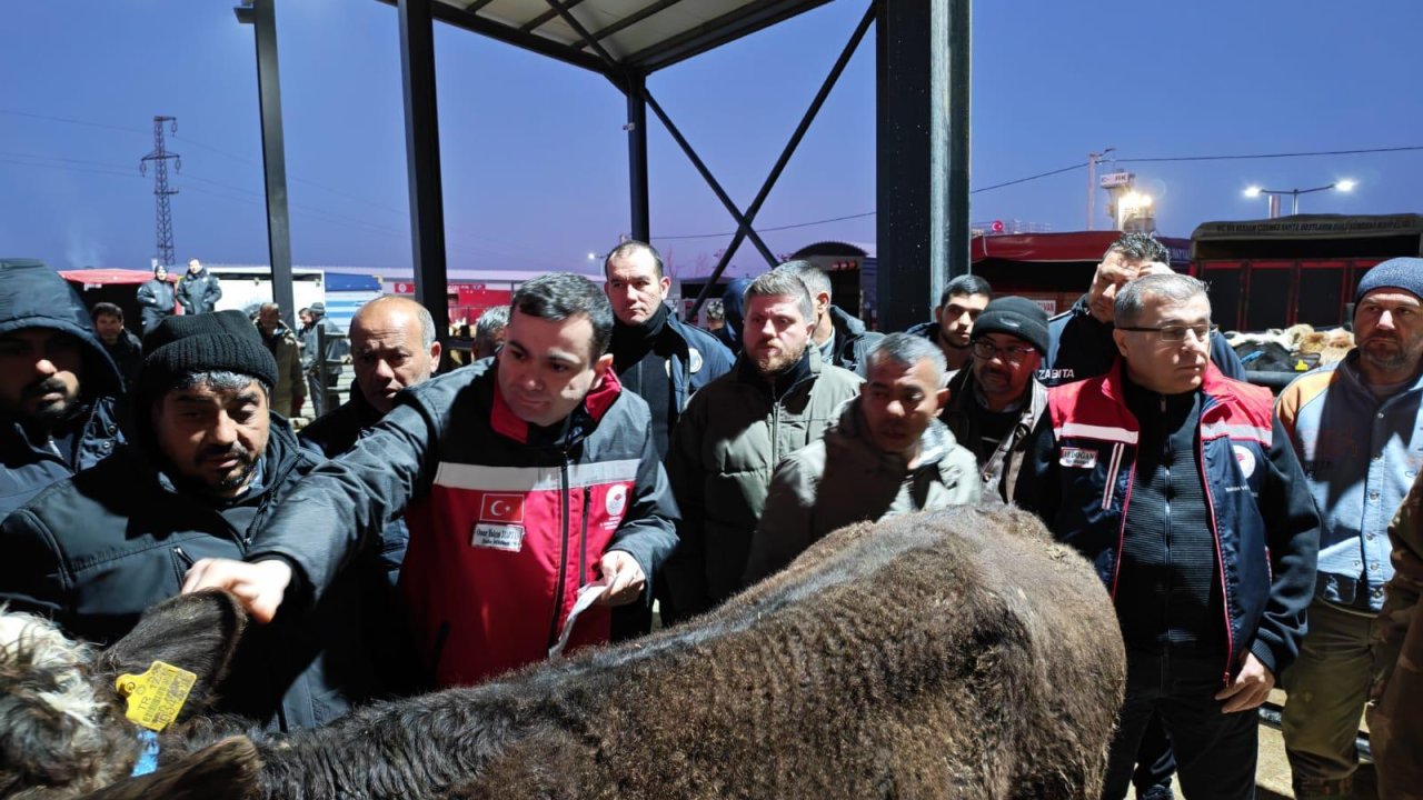 Havsa canlı hayvan pazarında denetim