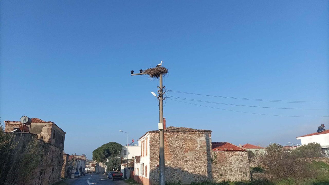 Küçükköy Mahallesi'ne baharın müjdecisi yılın ilk leyleği geldi