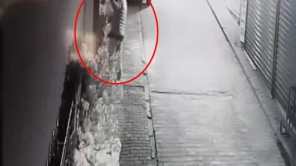 Süs ağacı çalınan iş yeri sahibi: Özür dilerse şikayetçi olmayacağım