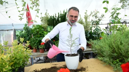 Süs bitkileri üretimi Kestel Belediyesi ile dünya pazarına açılıyor