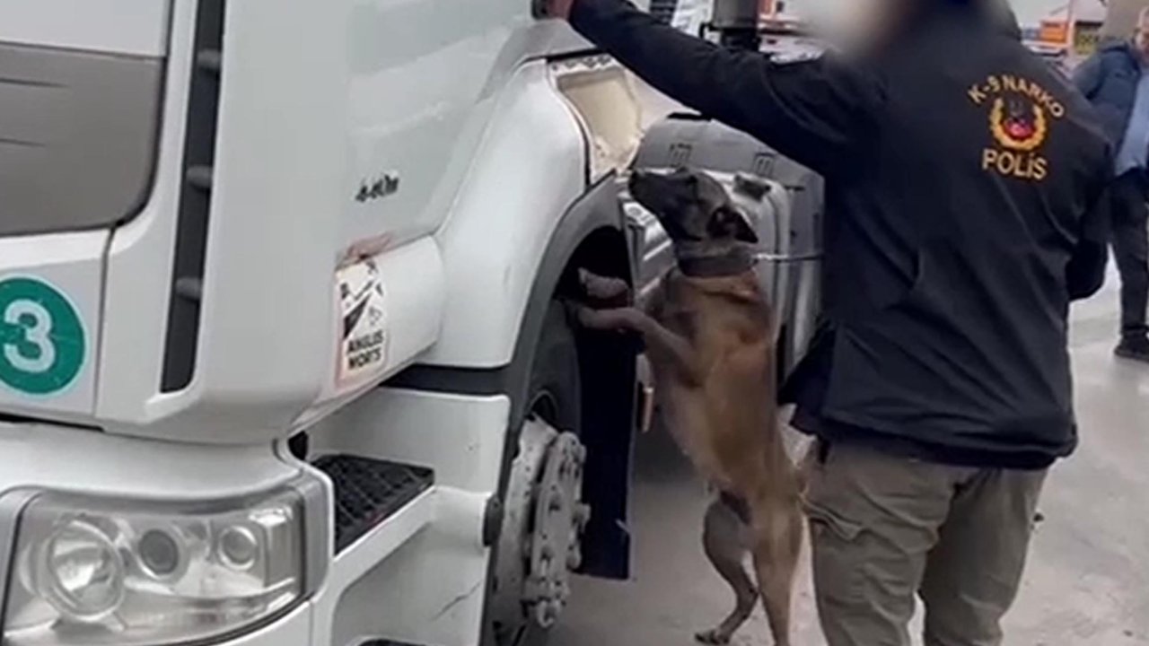 TIR'da 53 kilo skunk ele geçirildi; 2 gözaltı