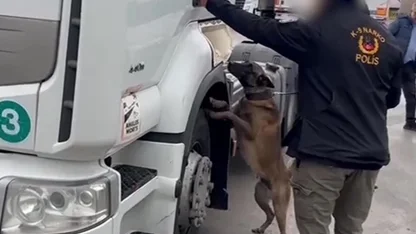 TIR'da 53 kilo skunk ele geçirildi; 2 gözaltı