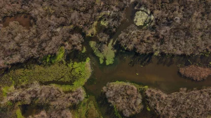 Türkiye’nin 3’üncü büyük longozu yeniden su ile doldu