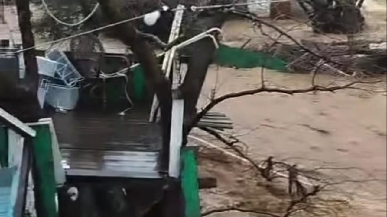 Yalova’da sağanak nedeniyle dereler taştı, 5 büyükbaş öldü