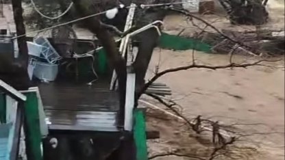 Yalova’da sağanak nedeniyle dereler taştı, 5 büyükbaş öldü