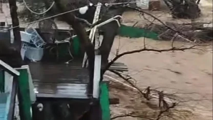 Yalova’da sağanak nedeniyle dereler taştı, 5 büyükbaş öldü