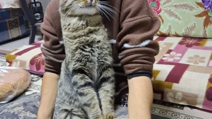 Yeğenini bıçaklayıp öldürdü, araya giren kardeşi ile damadını ağır yaraladı