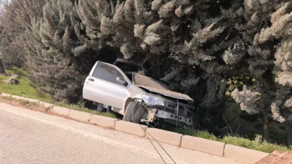 Yol kenarındaki ağaçlık alana düşen otomobilin sürücüsü yaralandı