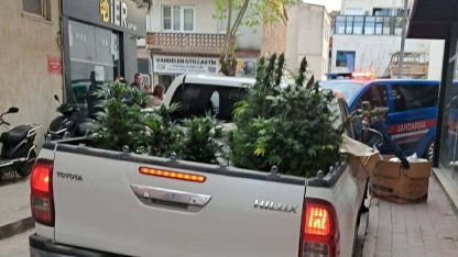 Apartman dairesinde uyuşturucu yetiştiren şüpheli yakalandı