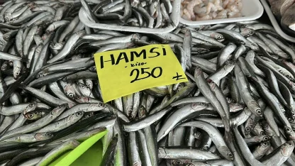 'Balıkta hızlı avcılık pek çok sıkıntıyı beraberinde getirdi'