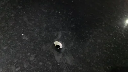 Bursa'da seyir halindeki otomobile mermi isabet etti