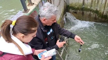 Derede ve balık havuzlarında toplu balık ölümlerine inceleme