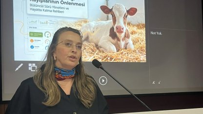 Dr. Canikli: Sağlıklı buzağı istiyorsak, anneyi doğru beslememiz lazım