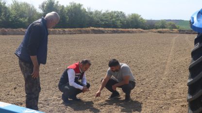 Edirne Tarım ve Orman Müdürü Köse, çeltik ekilişlerini yerinde inceledi