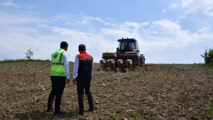 Edirne’de 70 dönümlük alana yerli hibrit ayçiçeği tohumu ekildi