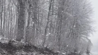 İnegöl-Domaniç karayoluna nisan ayında kar yağdı