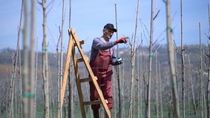 Kestel bahara hazırlanıyor: İlçe genelinde bakım ve peyzaj çalışmaları başladı