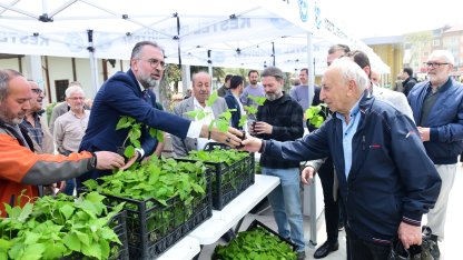 Kestel Belediyesi’nden çiftçilere ahududu üretimi için 6 bin fidan desteği
