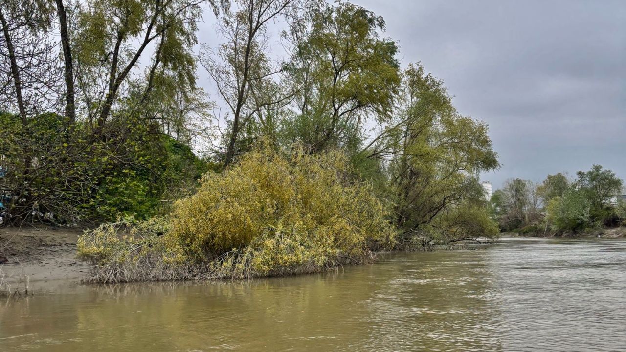 Nehre düşen 10 yaşındaki Ahmet'ten 7 gündür bir iz yok