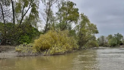 Nehre düşen 10 yaşındaki Ahmet'ten 7 gündür bir iz yok