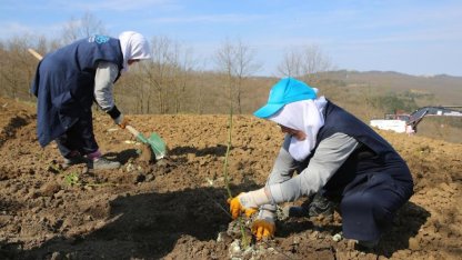 Nilüfer’de atıl araziler bereketleniyor