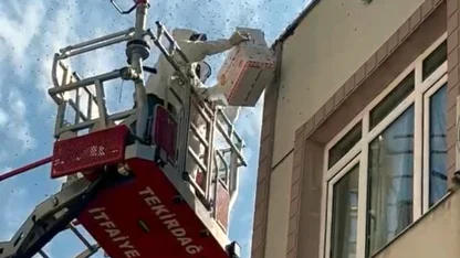 Oğul veren bal arıları nedeniyle yaya ve araç trafiği durdu