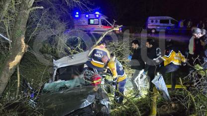 Otomobil Ağaca Çarptı, 1 Ölü 3 Yaralı