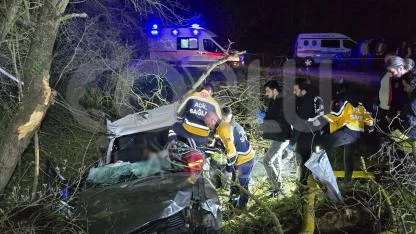 Otomobil Ağaca Çarptı, 1 Ölü 3 Yaralı