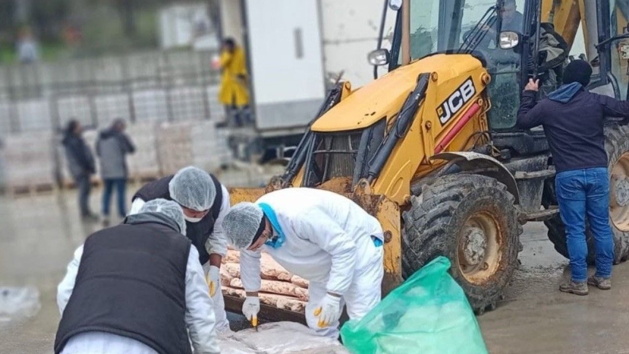 Sakarya'da 32 ton son tüketim tarihi geçmiş tavuk eti ele geçirildi