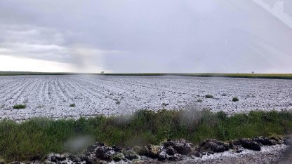 Saray'da dolu etkili oldu