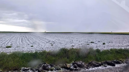 Saray'da dolu etkili oldu