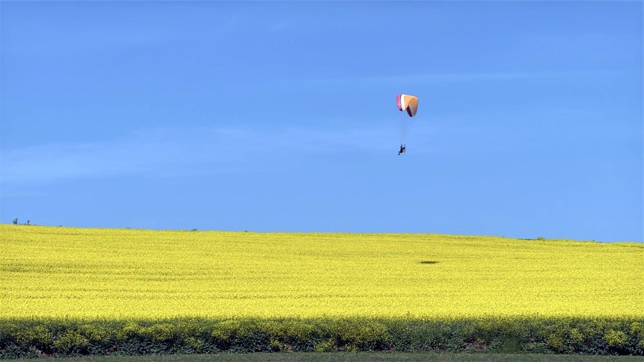 Sarı renge bürünen kanola tarlası üzerinde paramotorla uçtu