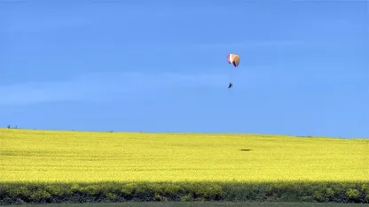 Sarı renge bürünen kanola tarlası üzerinde paramotorla uçtu