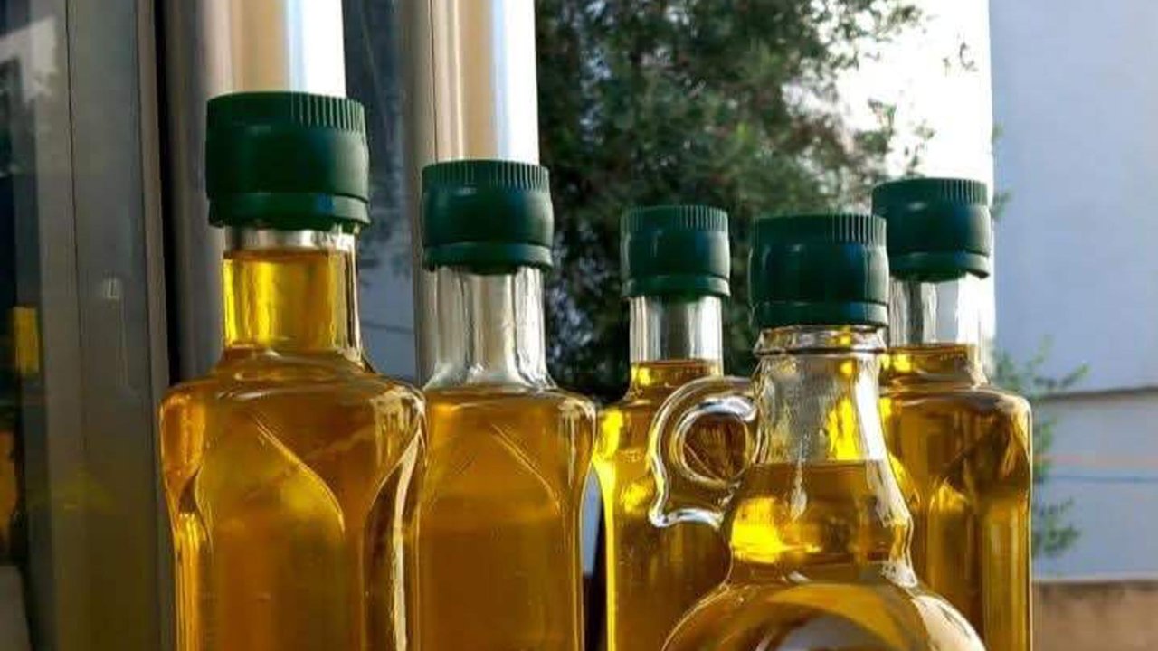'Şarköy zeytinyağı' coğrafi işaret aldı