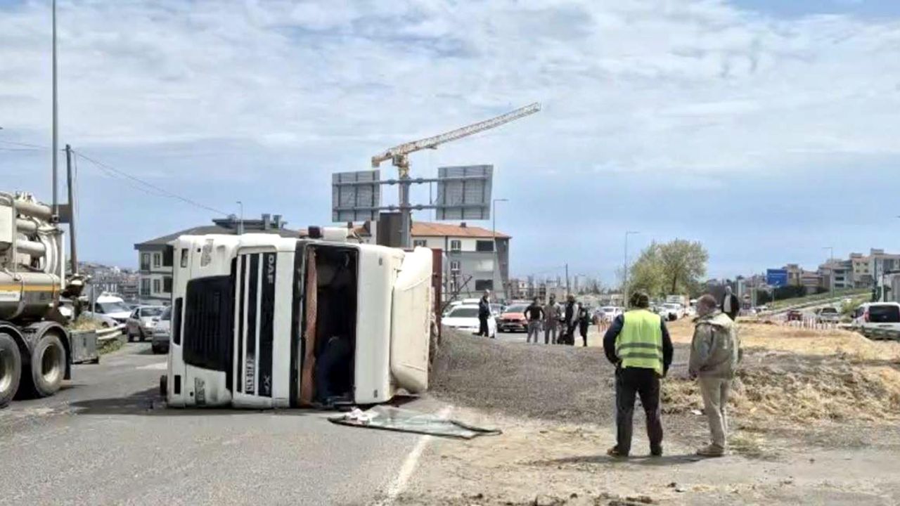 Tekirdağ'da ayçiçeği yüklü TIR devrildi
