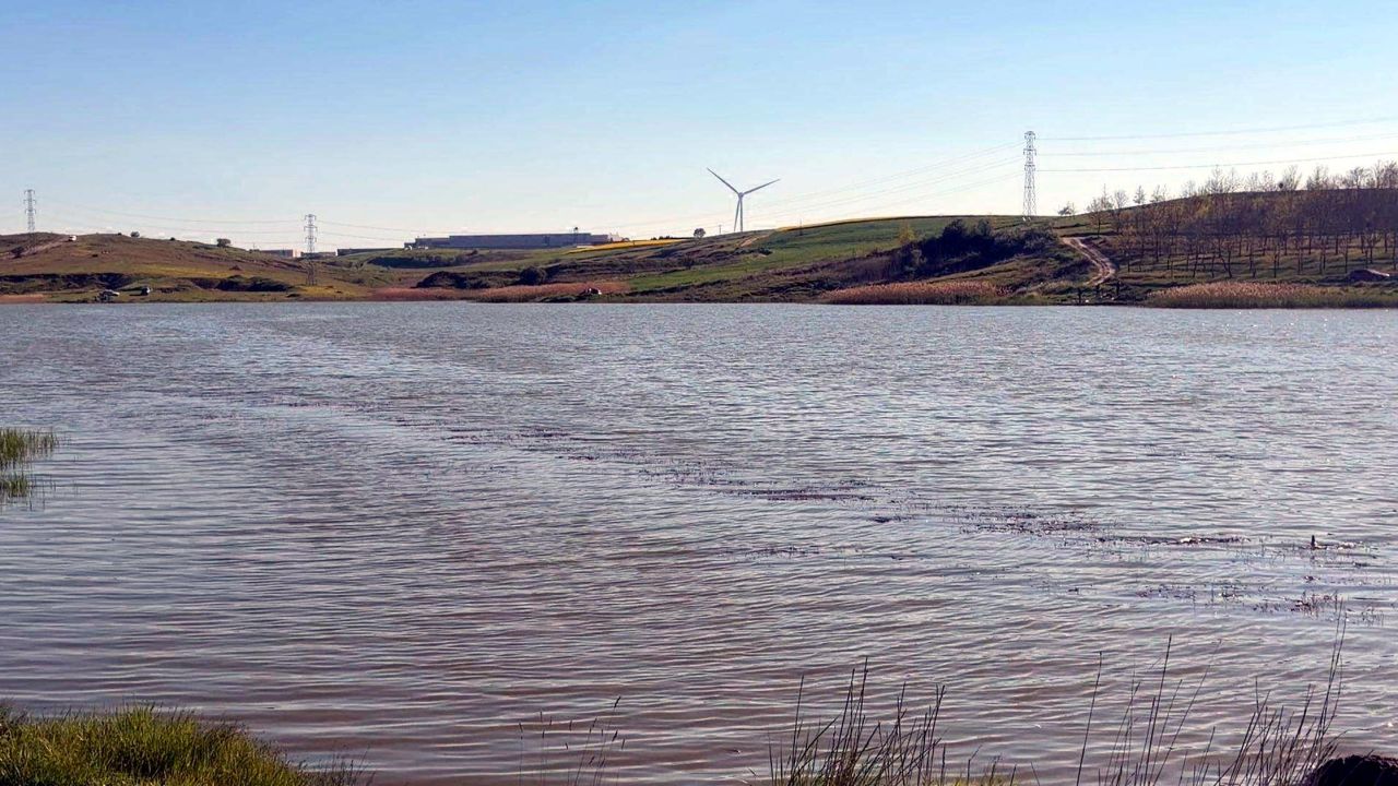 Tekirdağ'da gölette toplu balık ölümlerine inceleme