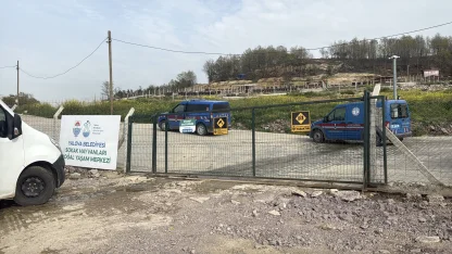 Yalova’da hayvan ölümleri iddialarına soruşturma