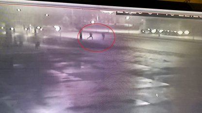 Yola düşen telefonunu almak isterken otomobilin çarptı