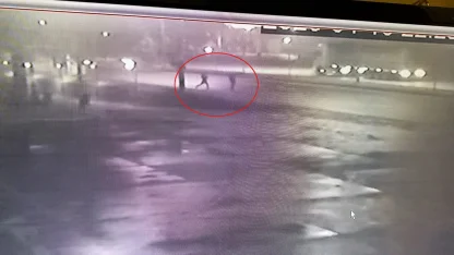 Yola düşen telefonunu almak isterken otomobilin çarptı