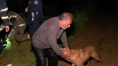 Bursa'da taşan dere çiftliği bastı: Mahsur kalan çiftçi ve köpeği kurtarıldı