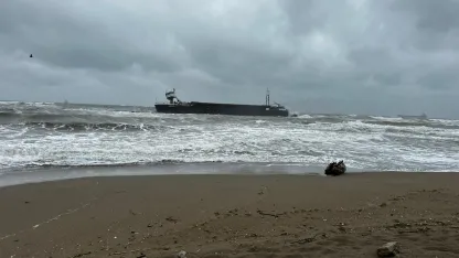 Kargo gemisi karaya oturdu