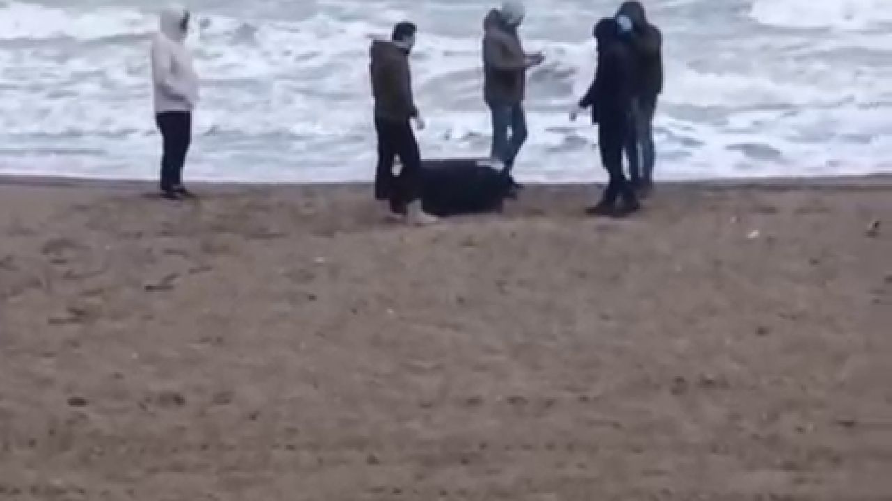 Sahile vuran çantadan 21,5 kilo uyuşturucu çıktı