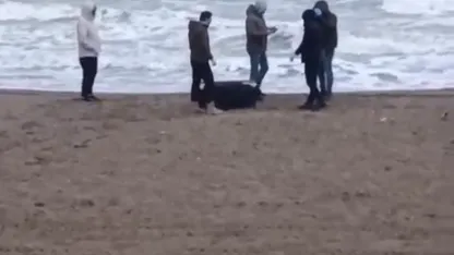 Sahile vuran çantadan 21,5 kilo uyuşturucu çıktı