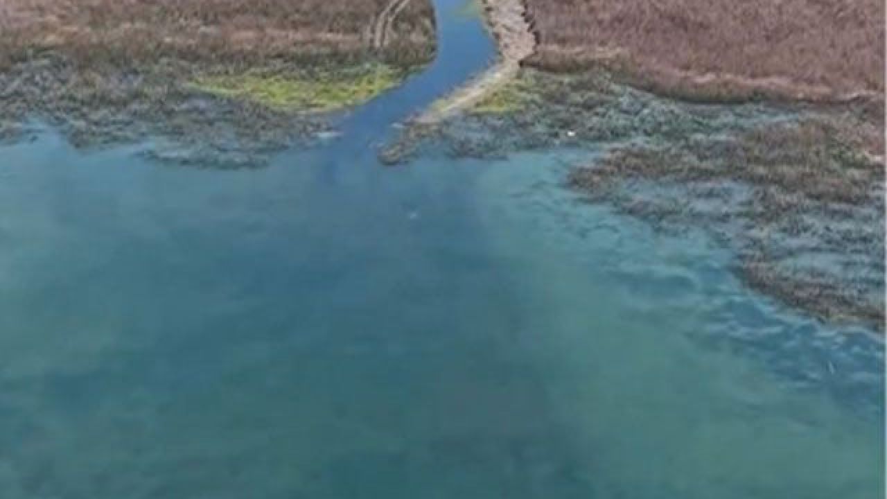 Sapanca Gölü'nde su seviyesi yükseldi